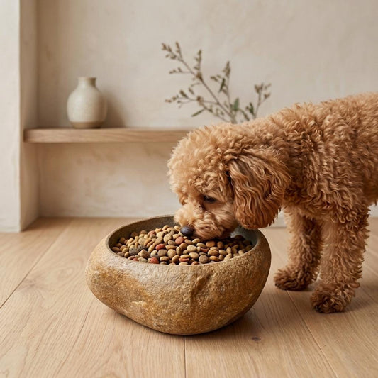 No Spill Dog Food Bowl – natural stone bird and wildlife accessory – primary product view