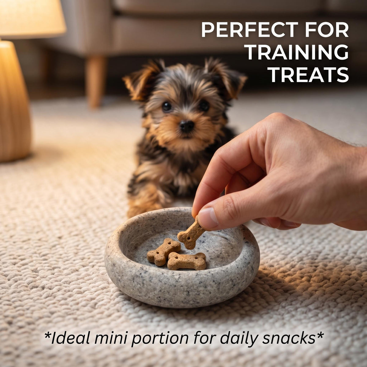 Dog Treat Bowl - Natural Stone Puppy Snack Bowl For Training – natural stone bird and wildlife accessory – alternate view