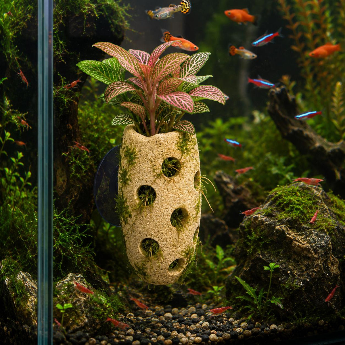 Natural Stone Aquarium Holder - Fish Tank Planter – natural stone aquarium accessory – alternate angle