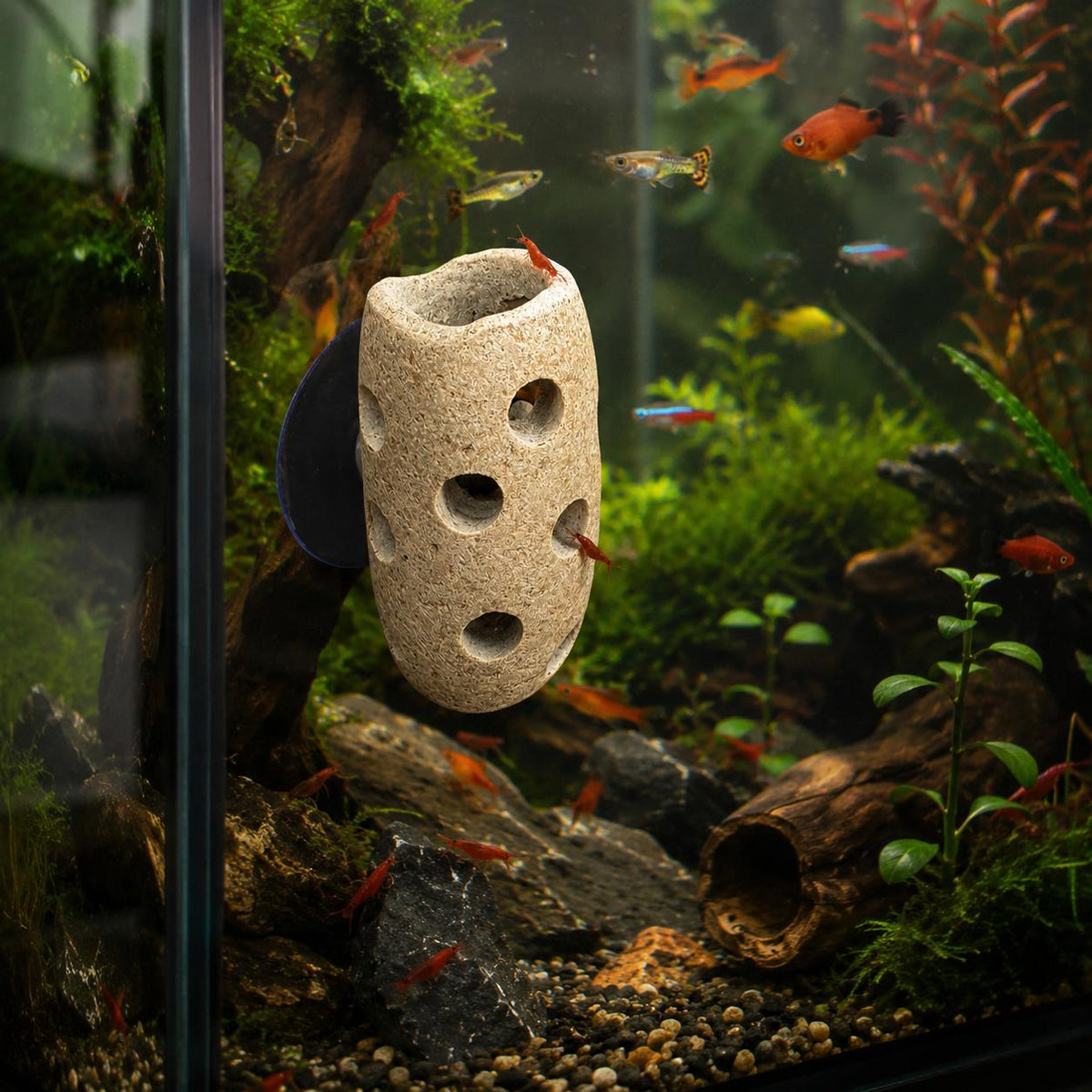 Natural Stone Aquarium Holder - Fish Tank Planter – natural stone aquarium accessory – product detail