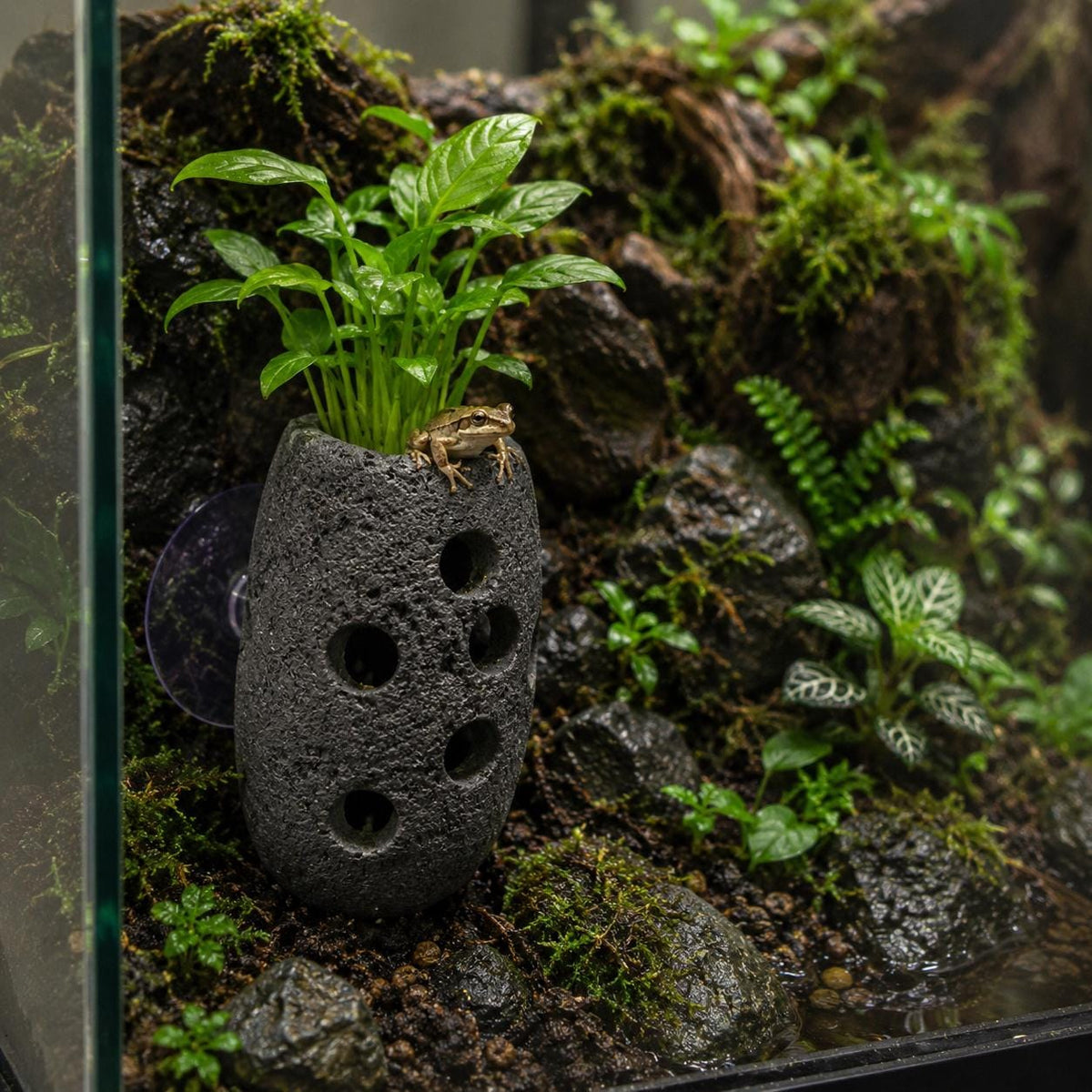 Hanging Planter – natural stone planter or floral display – detail view