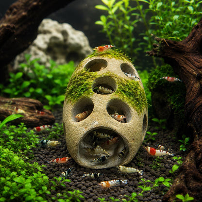 Shrimp Hide Cave Natural Stone – natural stone aquarium accessory – detail view