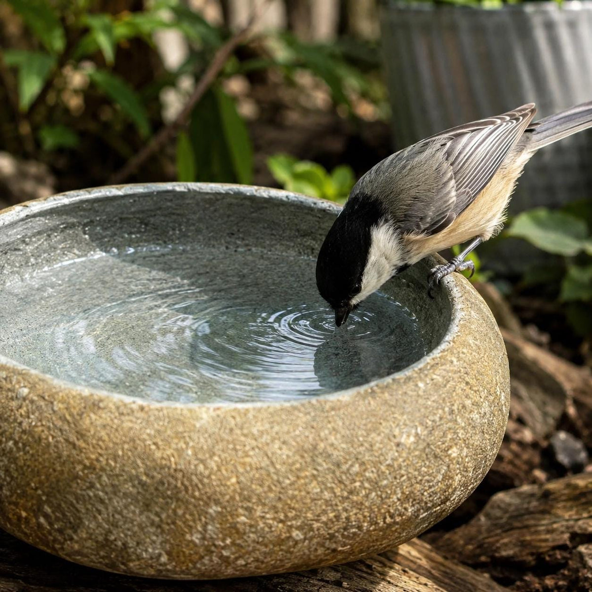 Outdoor Bird Bath – natural stone bird and wildlife accessory – alternate angle