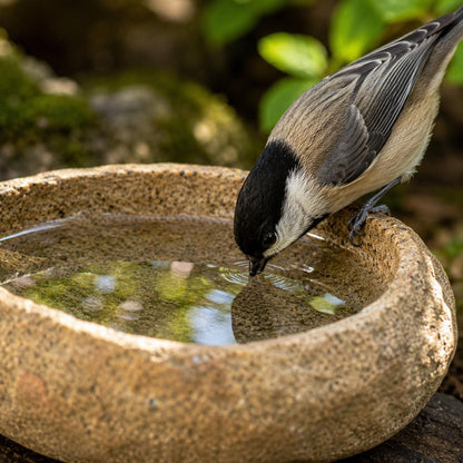 Bird Water Bowl – natural stone bird and wildlife accessory – product detail