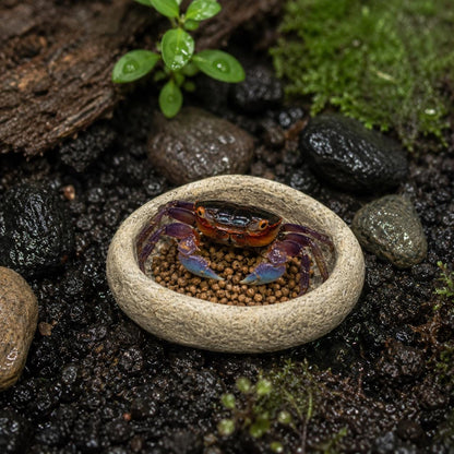 Land Crab Food Bowl – natural stone terrarium accessory – alternate view