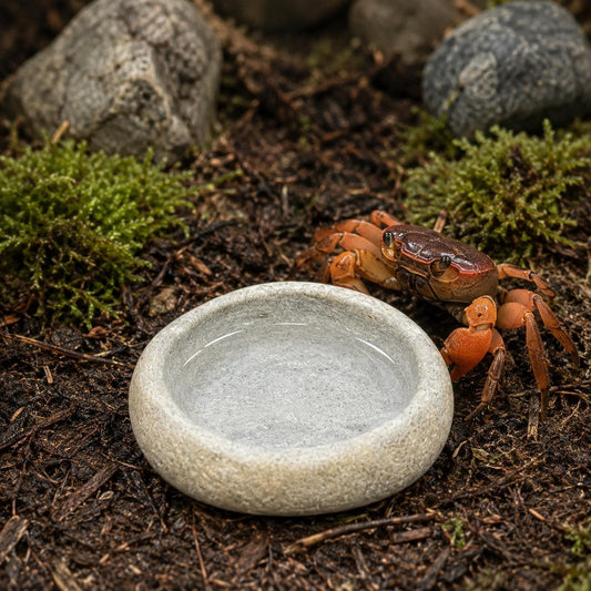 Land Crab Food Bowl – natural stone terrarium accessory – primary product view