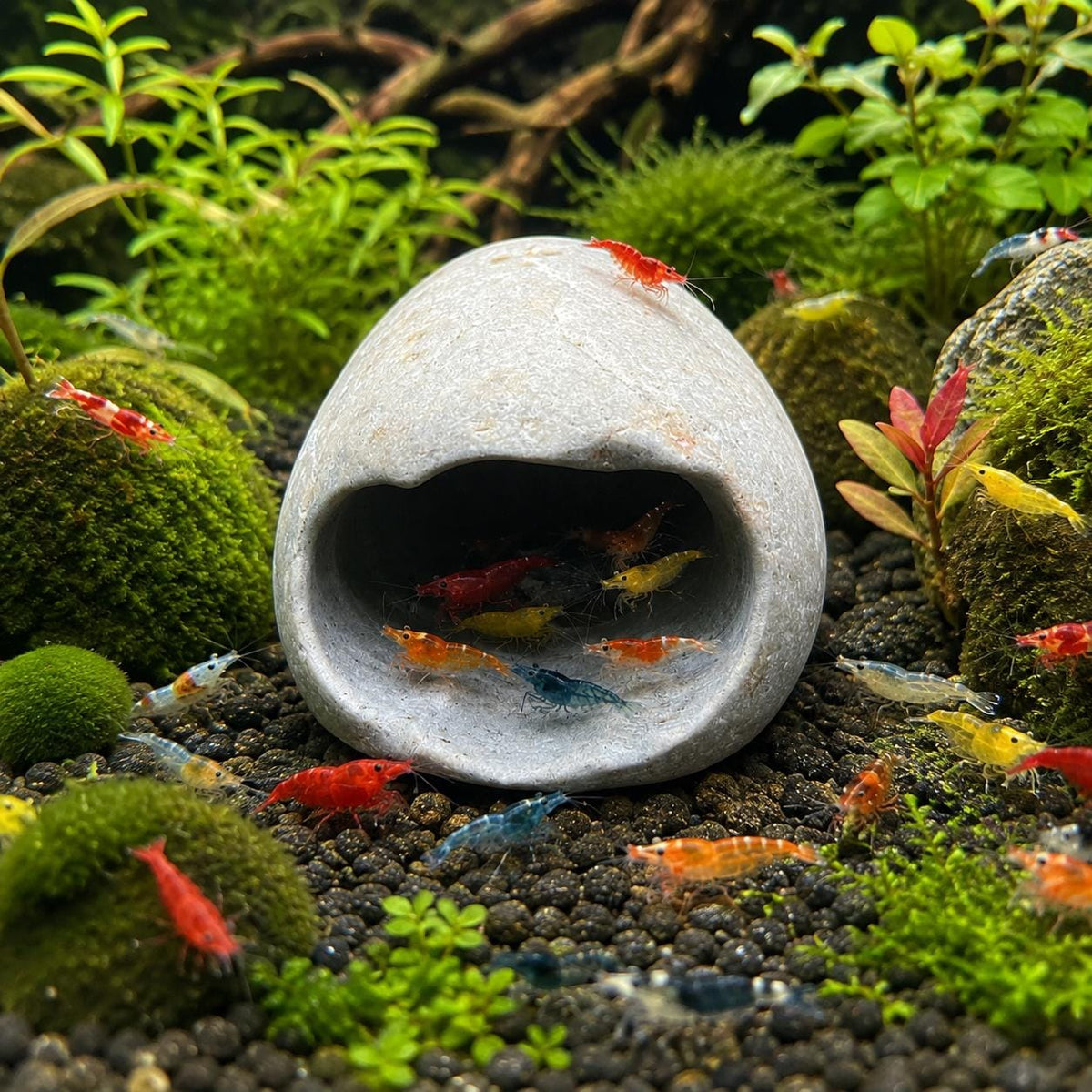 Shrimp Cave - Shrimp Hide Natural Stone – natural stone aquarium accessory – alternate angle