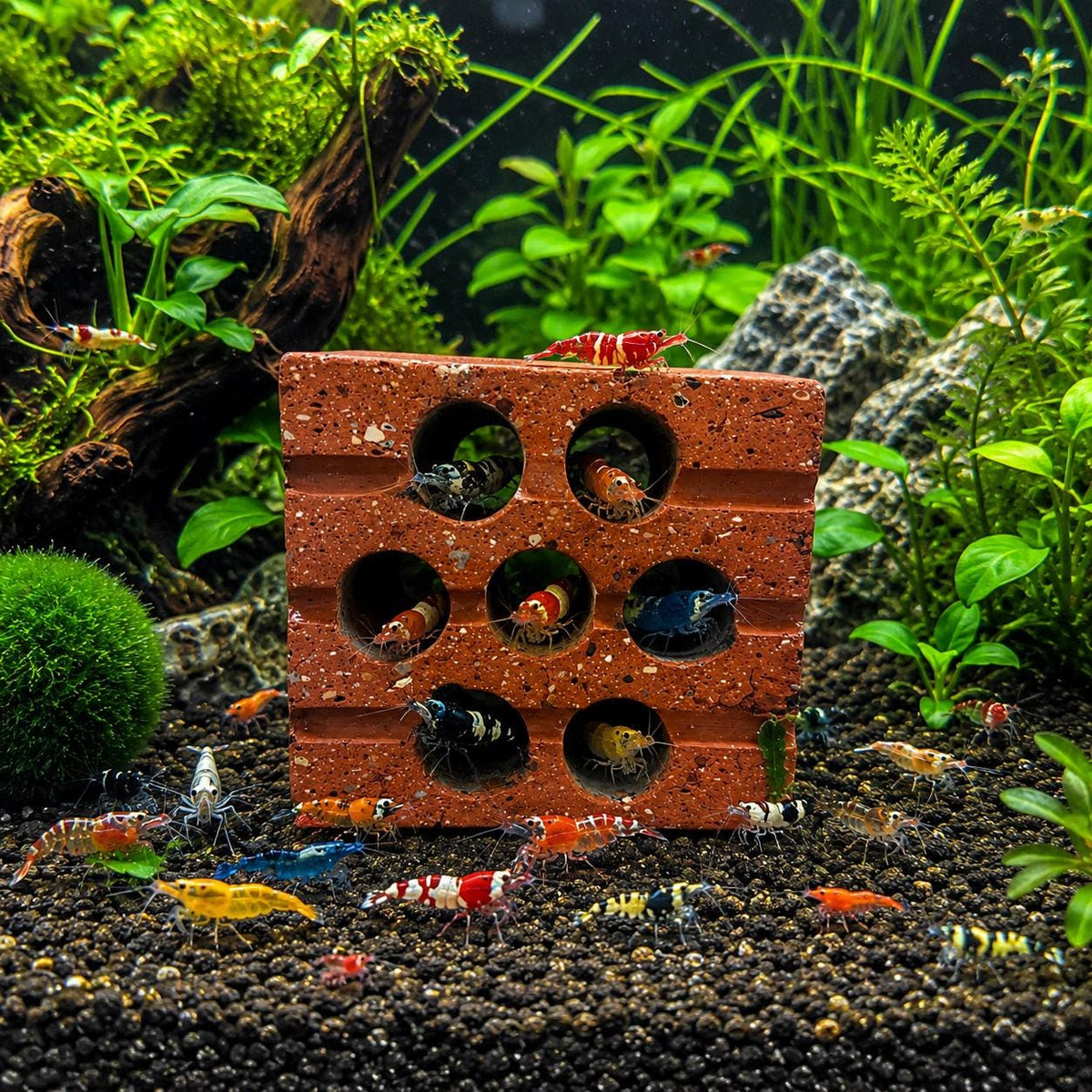 Shrimp Cave Terracotta Hideout – natural stone aquarium accessory – alternate angle