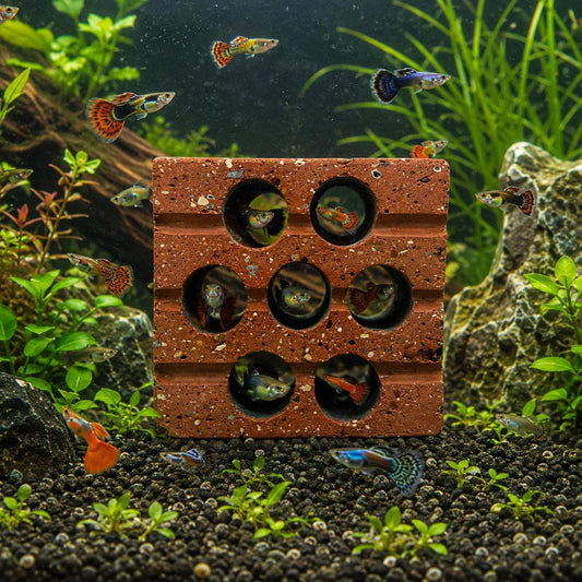 Guppy Hideout Cave – natural stone aquarium accessory – primary product view