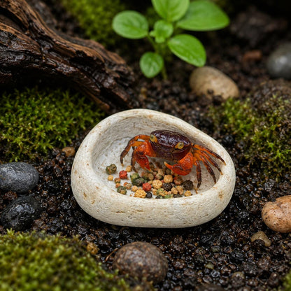 Vampire Crab Feeding Bowl – natural stone terrarium accessory – primary product view