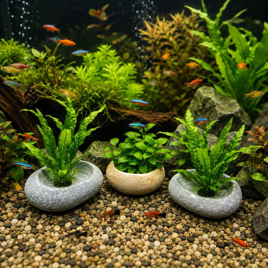 Natural Stone Aquarium Plant Holder – natural stone aquarium accessory – primary product view