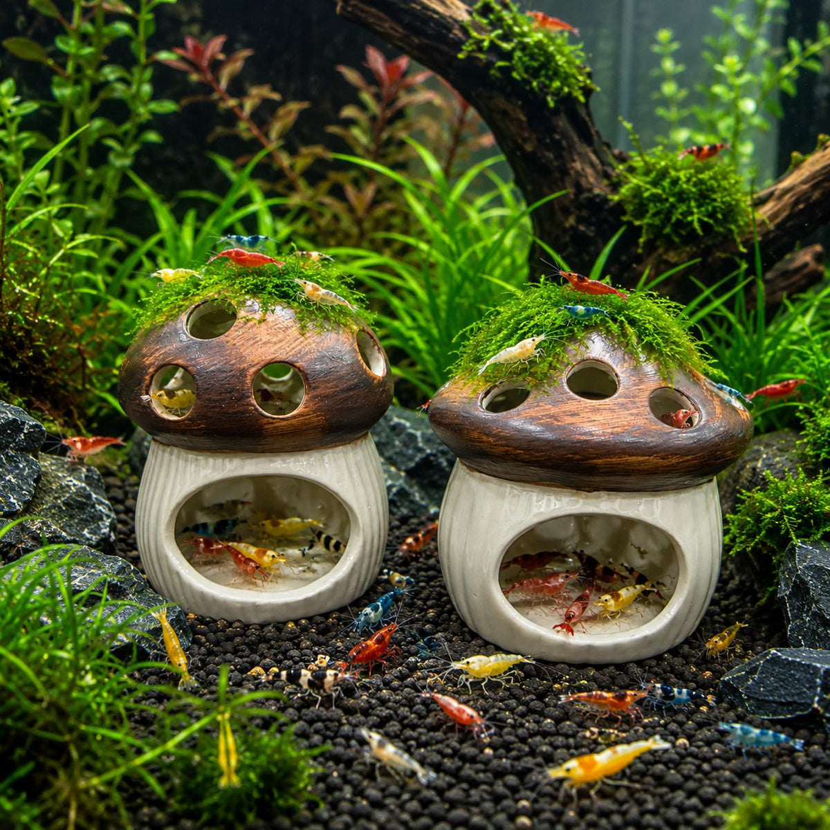 Ceramic Shrimp Cave – natural stone aquarium accessory – primary product view