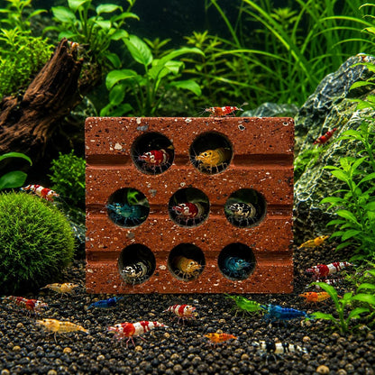 Shrimp Cave Terracotta Hideout – natural stone aquarium accessory – primary product view