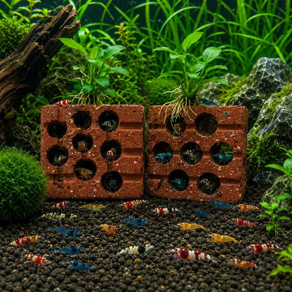 Shrimp Cave Terracotta Hideout – natural stone aquarium accessory – product detail