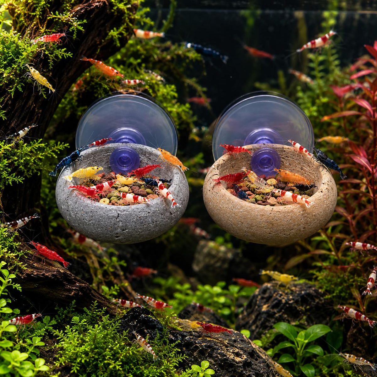 Natural Stone Shrimp Feeding Bowl – natural stone aquarium accessory – product detail