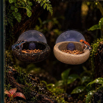 Frog Feeding Dish – natural stone terrarium accessory – alternate angle