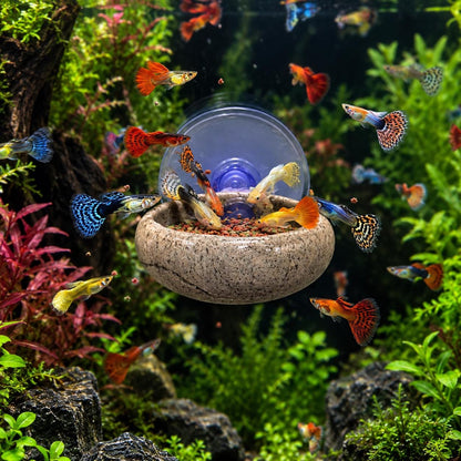 Natural Stone Fish Feeding Bowl – natural stone aquarium accessory – primary product view