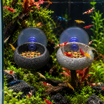 Natural Stone Shrimp Feeding Bowl – natural stone aquarium accessory – alternate view