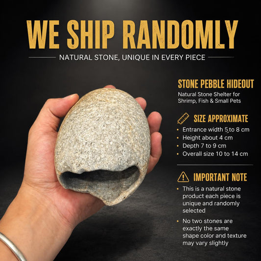 Toad Hide - Toad Hideout – natural stone terrarium accessory – alternate product view