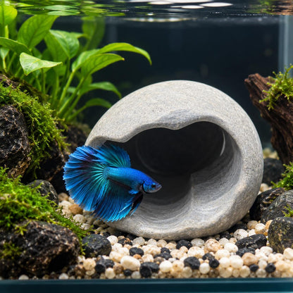 Betta Cave - Betta Fish Cave – natural stone aquarium accessory – alternate view